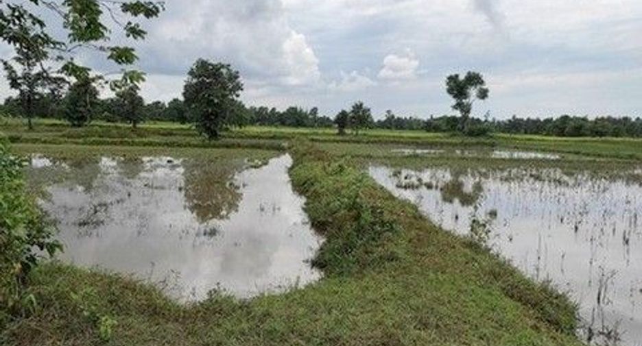 出售 土地 在 Phang Khon, Sakon Nakhon