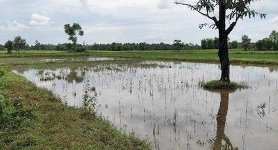 出售 土地 在 Phang Khon, Sakon Nakhon