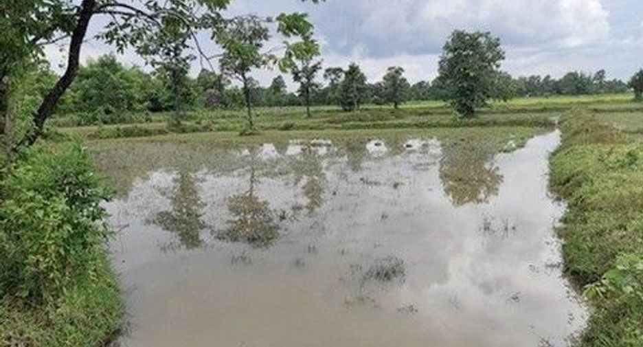 出售 土地 在 Phang Khon, Sakon Nakhon