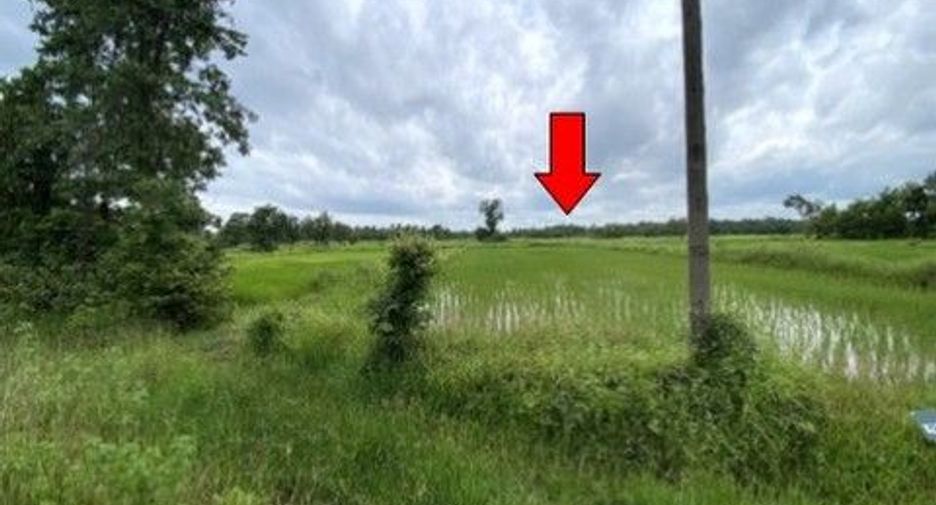 出售 土地 在 Phang Khon, Sakon Nakhon