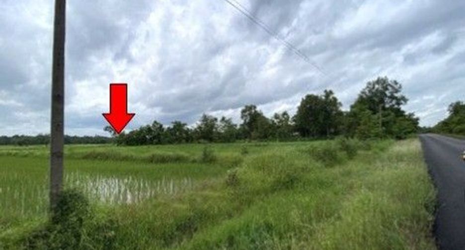 出售 土地 在 Phang Khon, Sakon Nakhon