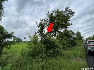 出售 土地 在 Phang Khon, Sakon Nakhon