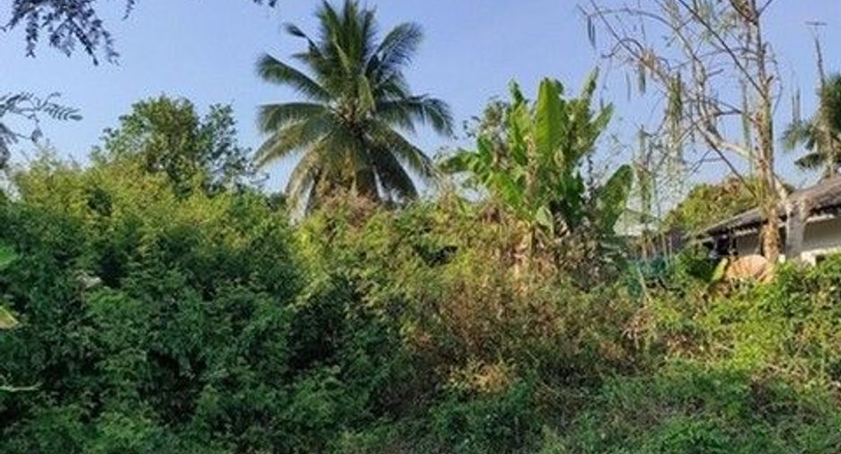 À vendre terrain à Si Rattana, Sisaket
