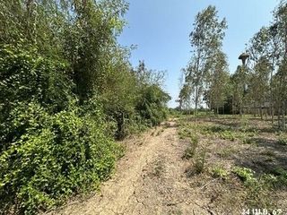 出售 土地 在 Pak Tho, Ratchaburi