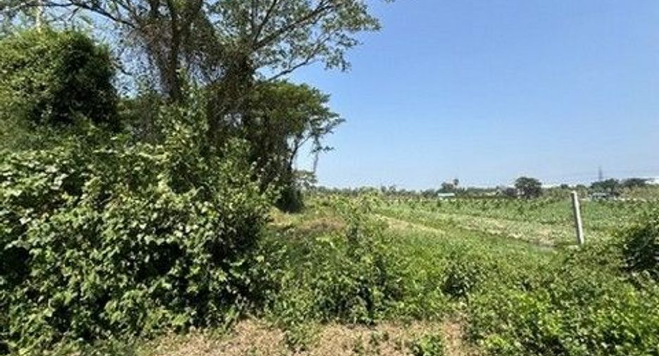 Продажа Участок в Pak Tho, Ратбури
