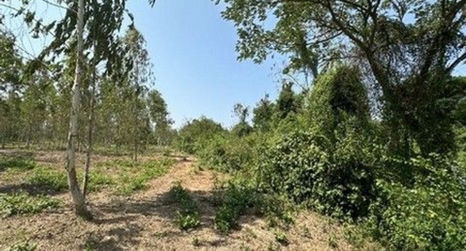 Продажа Участок в Pak Tho, Ратбури