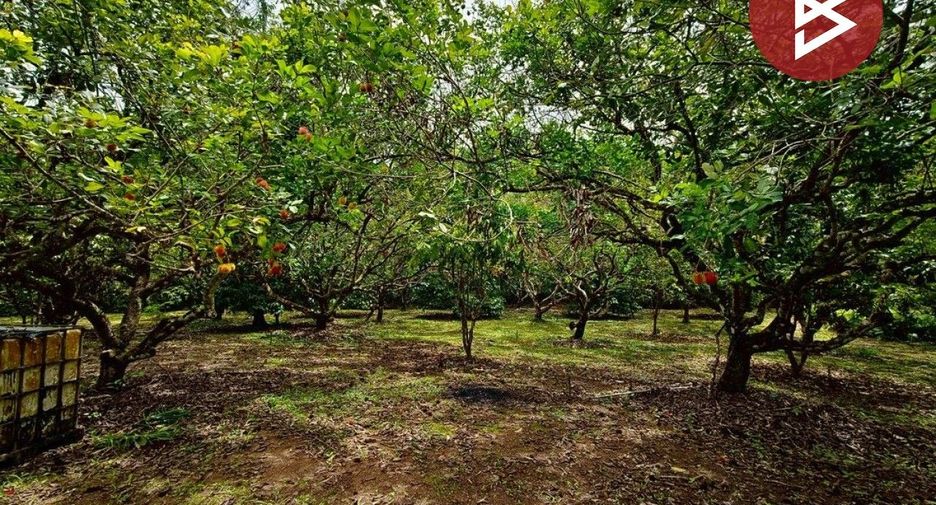 ขาย ที่ดิน ใน เขาคิชฌกูฏ, จันทบุรี