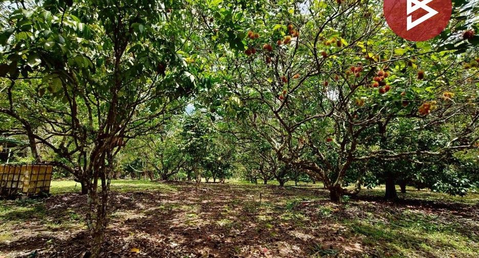 ขาย ที่ดิน ใน เขาคิชฌกูฏ, จันทบุรี