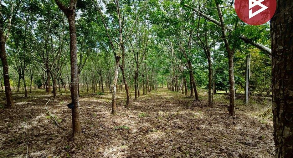 ขาย ที่ดิน ใน เขาคิชฌกูฏ, จันทบุรี