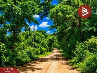 Продажа Участок в Mueang Nakhon Phanom, Накхон Пханом