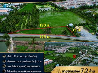 For sale land in Sam Phran, Nakhon Pathom