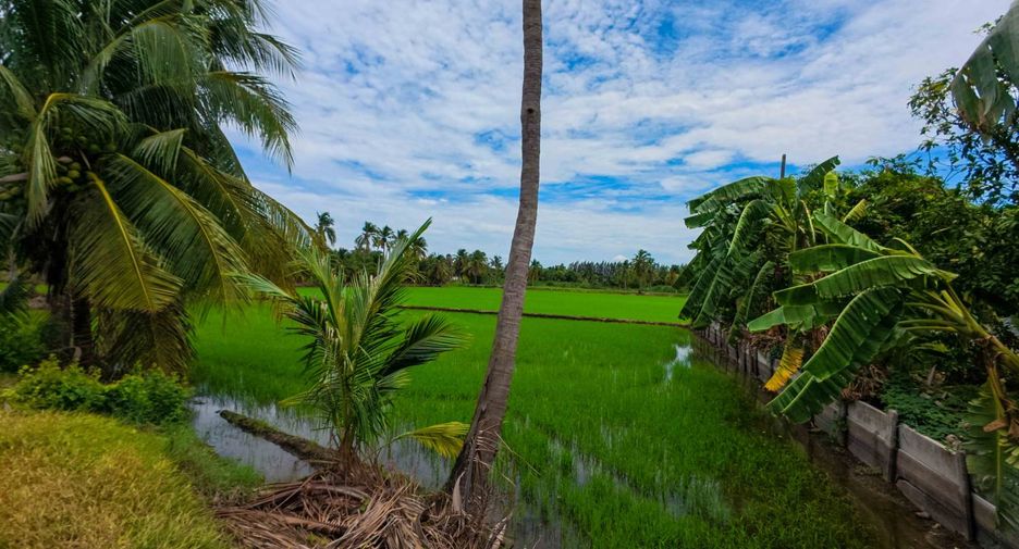 For sale land in Sam Phran, Nakhon Pathom