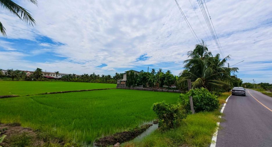 For sale land in Sam Phran, Nakhon Pathom