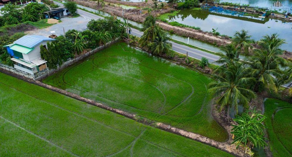 For sale land in Sam Phran, Nakhon Pathom