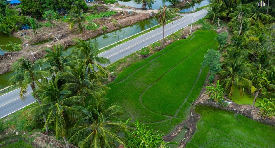For sale land in Sam Phran, Nakhon Pathom