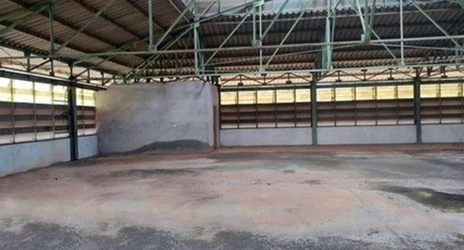 À vendre 1 chambre entrepôt à Phibun Mangsahan, Ubon Ratchathani