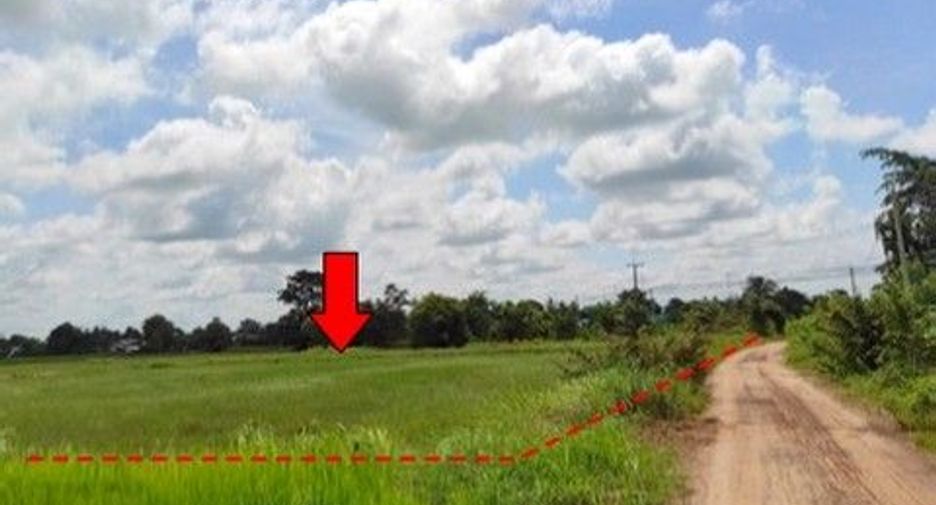 For sale land in Phibun Mangsahan, Ubon Ratchathani