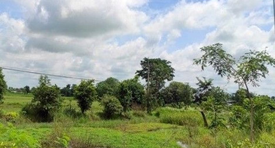 For sale land in Phibun Mangsahan, Ubon Ratchathani