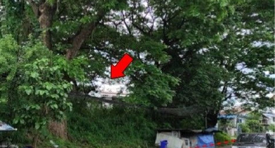For sale land in Phibun Mangsahan, Ubon Ratchathani