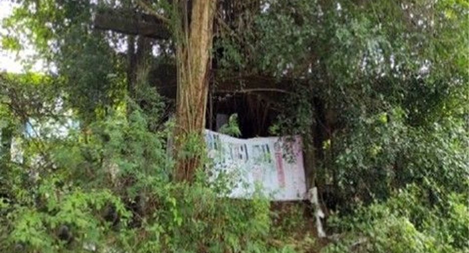 For sale land in Phibun Mangsahan, Ubon Ratchathani