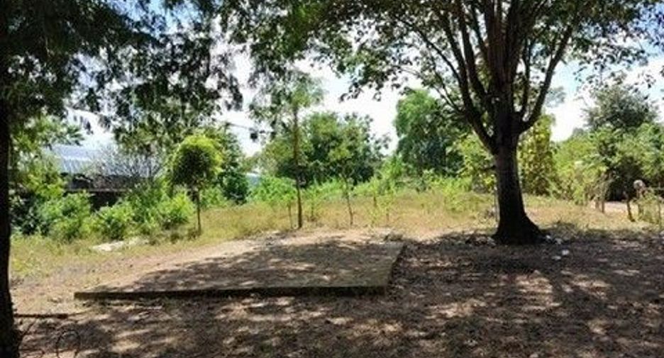 For sale land in Phibun Mangsahan, Ubon Ratchathani