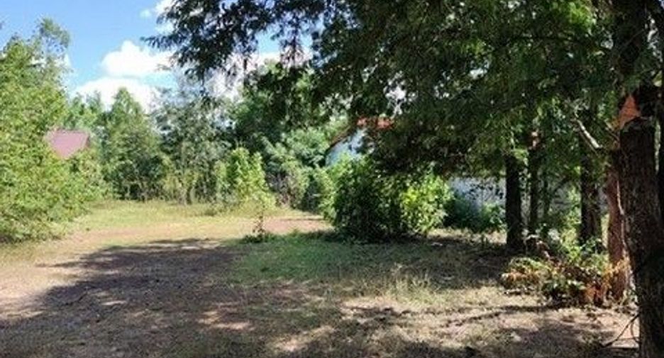 For sale land in Phibun Mangsahan, Ubon Ratchathani