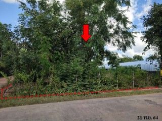 Продажа Участок в Phibun Mangsahan, Ubon Ratchathani