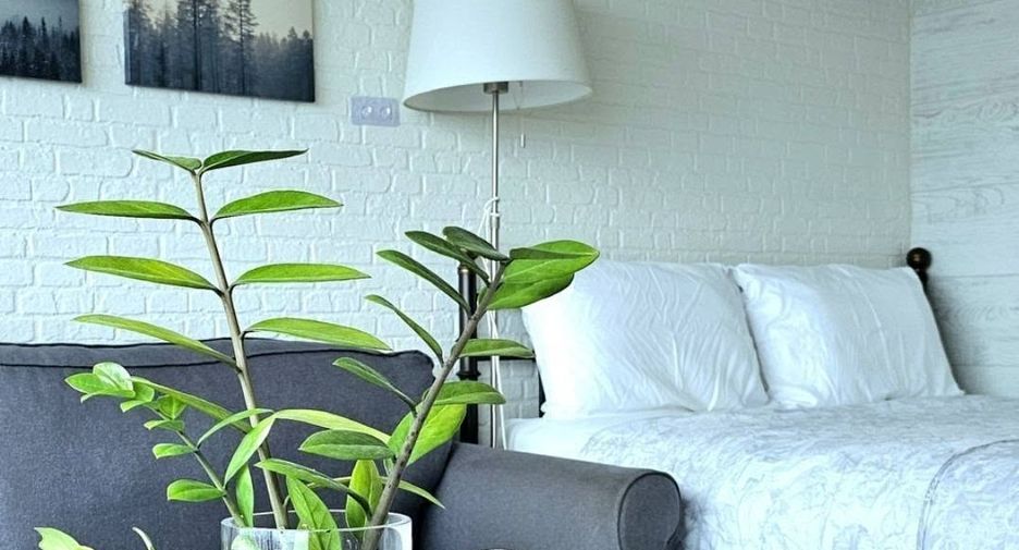 For rent 1 Beds condo in Pratumnak, Pattaya