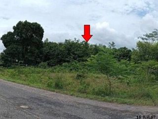 Продажа Участок в Phibun Mangsahan, Ubon Ratchathani