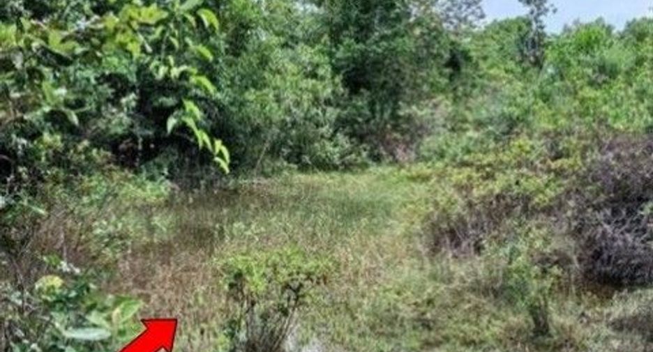 For sale land in Phibun Mangsahan, Ubon Ratchathani