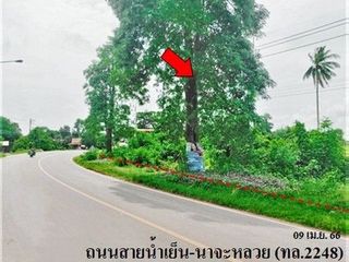 Продажа Участок в Phibun Mangsahan, Ubon Ratchathani