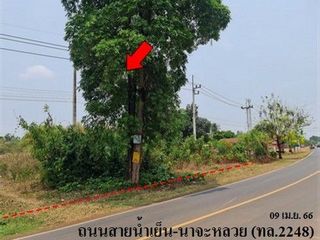Продажа Участок в Phibun Mangsahan, Ubon Ratchathani