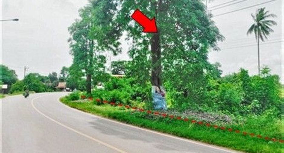 For sale land in Phibun Mangsahan, Ubon Ratchathani