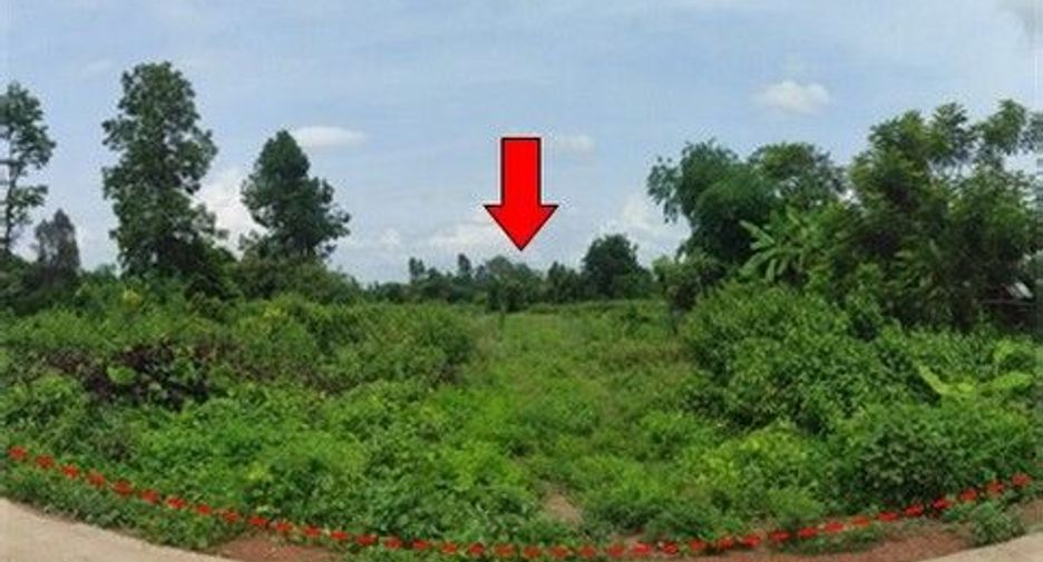 For sale land in Phibun Mangsahan, Ubon Ratchathani