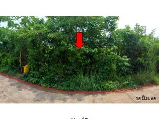 Продажа Участок в Phibun Mangsahan, Ubon Ratchathani