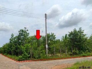 Продажа Участок в Phibun Mangsahan, Ubon Ratchathani