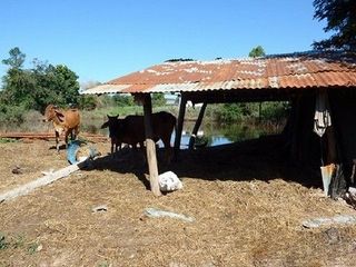Продажа Участок в Phibun Mangsahan, Ubon Ratchathani
