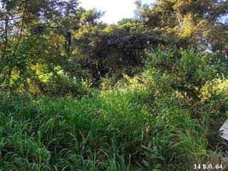 Продажа Участок в Phibun Mangsahan, Ubon Ratchathani