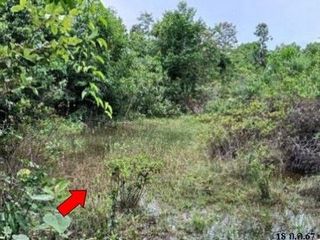 Продажа Участок в Phibun Mangsahan, Ubon Ratchathani
