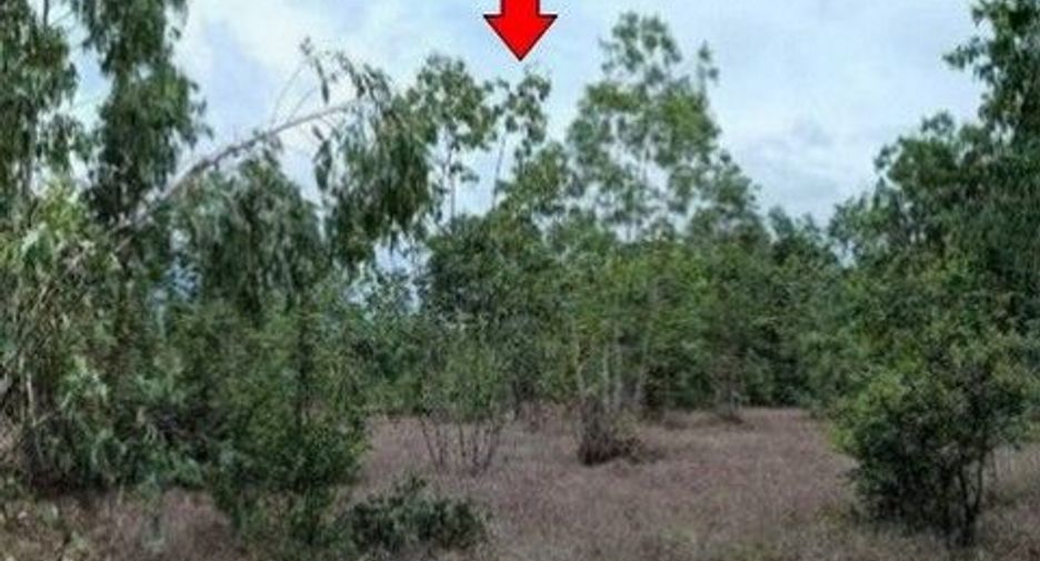 Продажа Участок в Phibun Mangsahan, Ubon Ratchathani