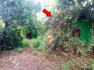 À vendre 1 chambre maison à Phibun Mangsahan, Ubon Ratchathani