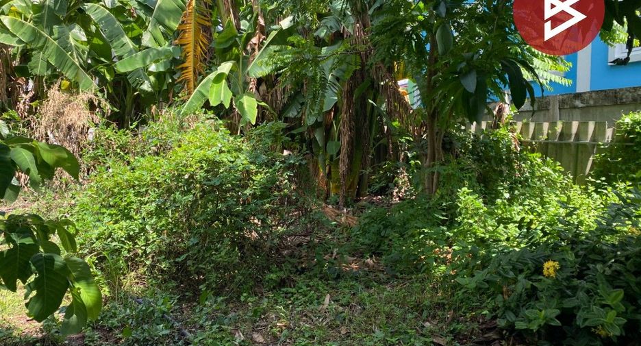 出售 土地 在 Chum Phuang, Nakhon Ratchasima
