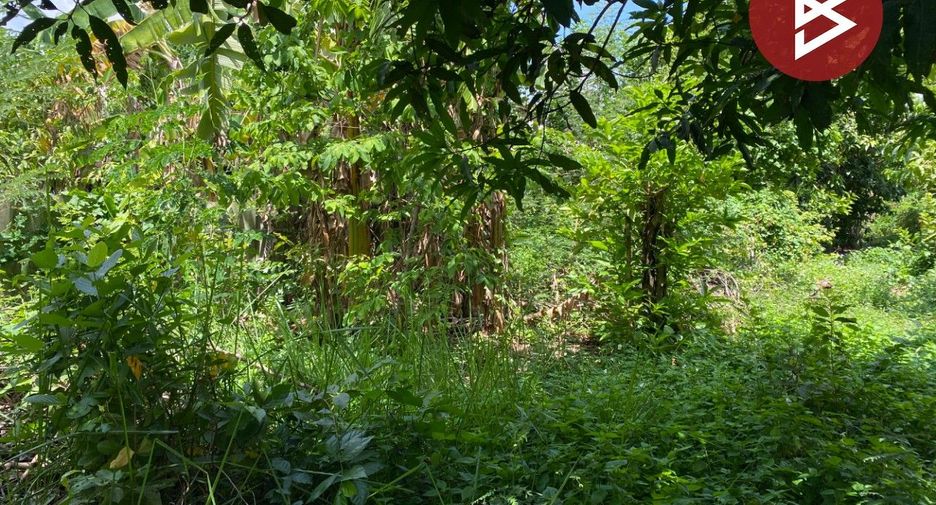 出售 土地 在 Chum Phuang, Nakhon Ratchasima