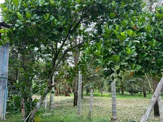 出售 土地 在 Klaeng, Rayong