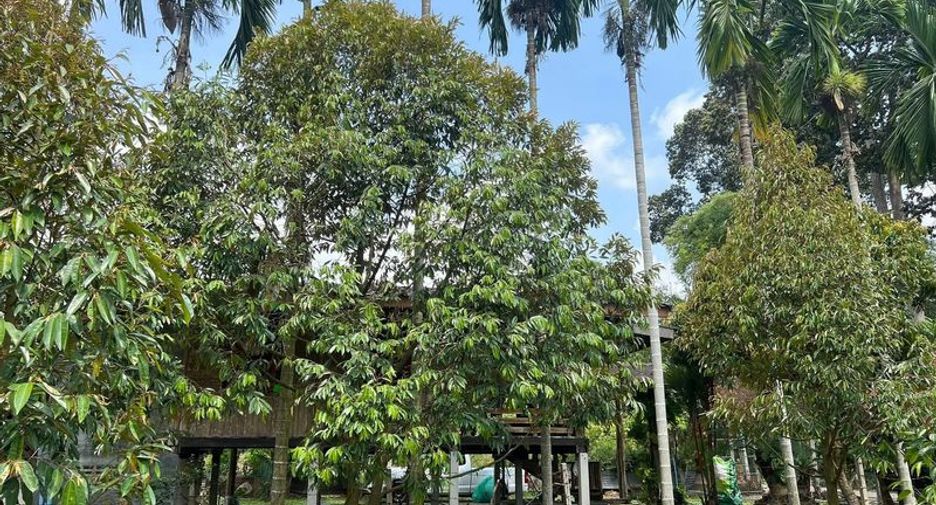 ขาย ที่ดิน ใน แกลง, ระยอง