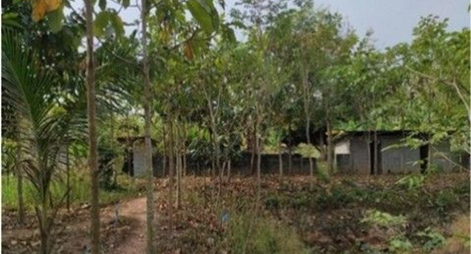 For sale 1 bed warehouse in Mueang Nong Khai, Nong Khai