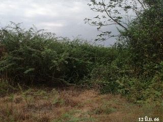 ขาย ที่ดิน ใน แก่งกระจาน, เพชรบุรี