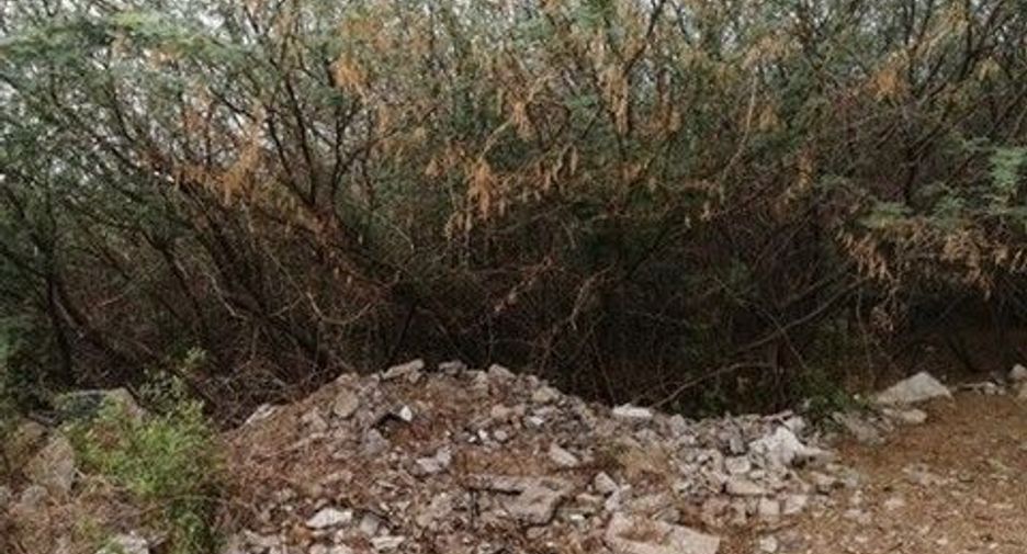 For sale land in Kaeng Krachan, Phetchaburi