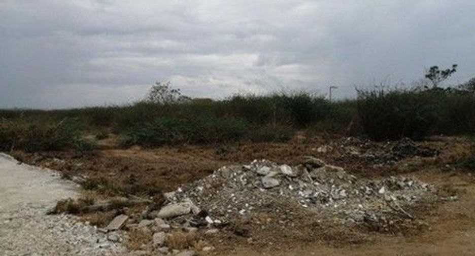 For sale land in Kaeng Krachan, Phetchaburi