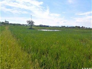 ขาย ที่ดิน ใน แก่งกระจาน, เพชรบุรี